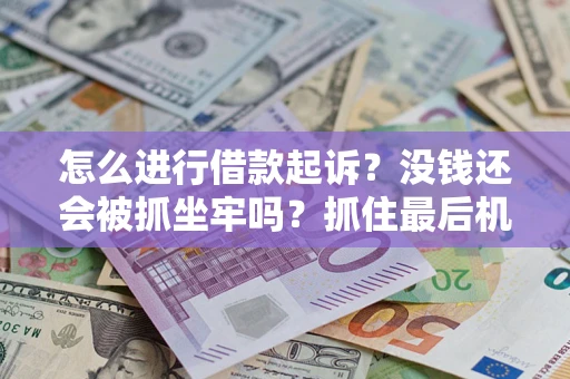 北京怎么进行借款起诉？没钱还会被抓坐牢吗？抓住最后机会！
