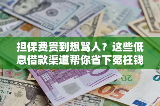 北京担保费贵到想骂人？这些低息借款渠道帮你省下冤枉钱