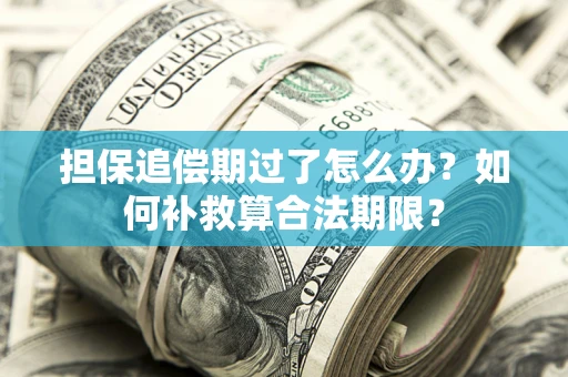 北京担保追偿期过了怎么办？如何补救算合法期限？