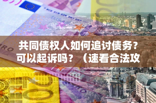 北京共同债权人如何追讨债务？可以起诉吗？（速看合法攻略）