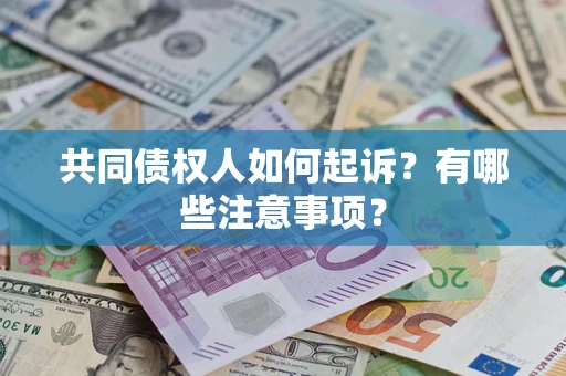 北京共同债权人如何起诉？有哪些注意事项？